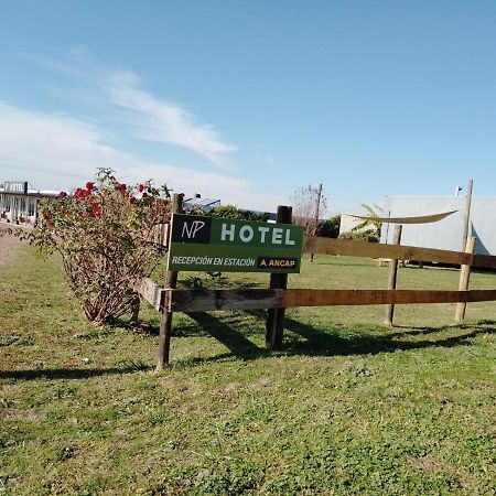Hotel Nueva Palmira Ngoại thất bức ảnh